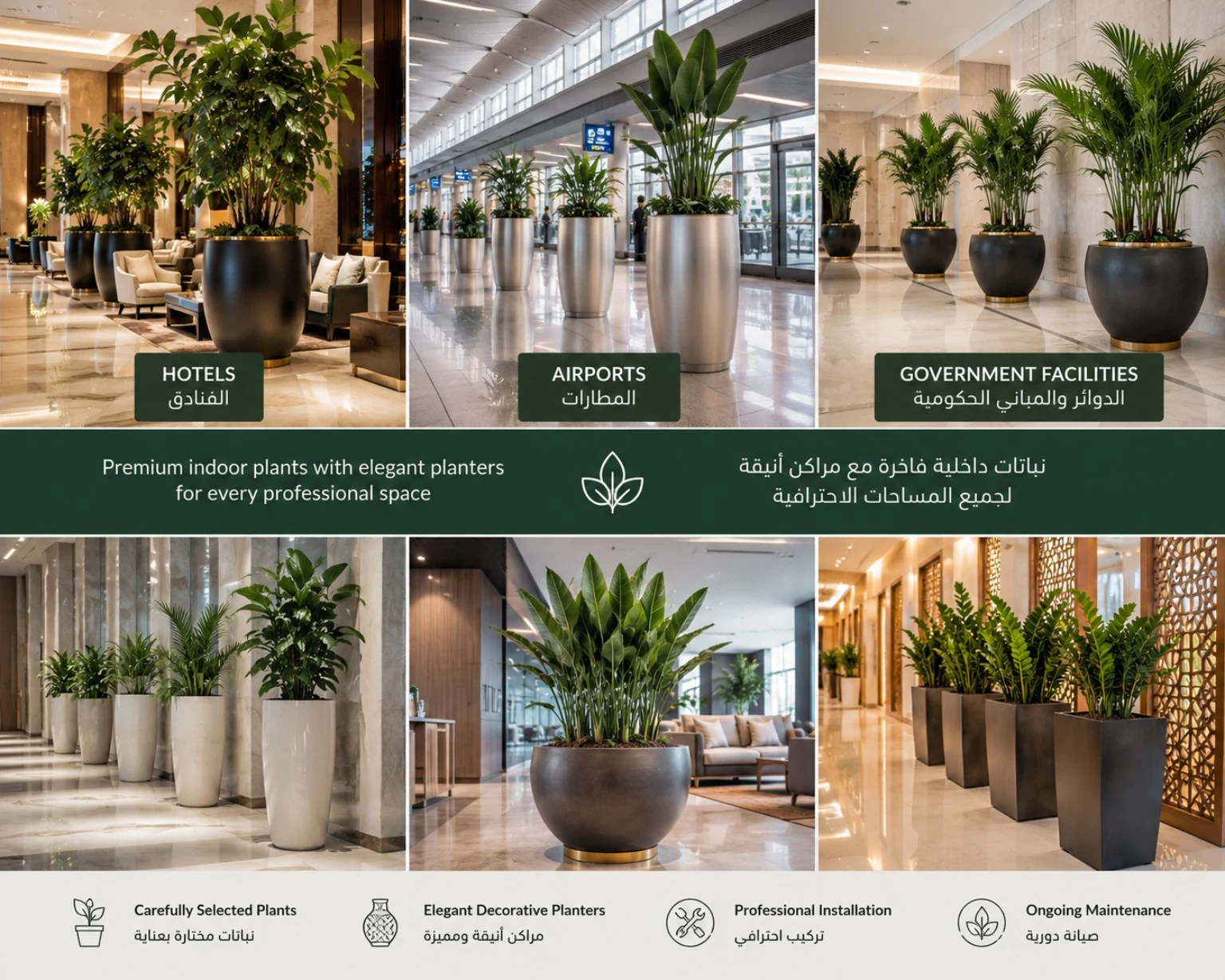 Premium indoor plants with elegant planters for professional spaces