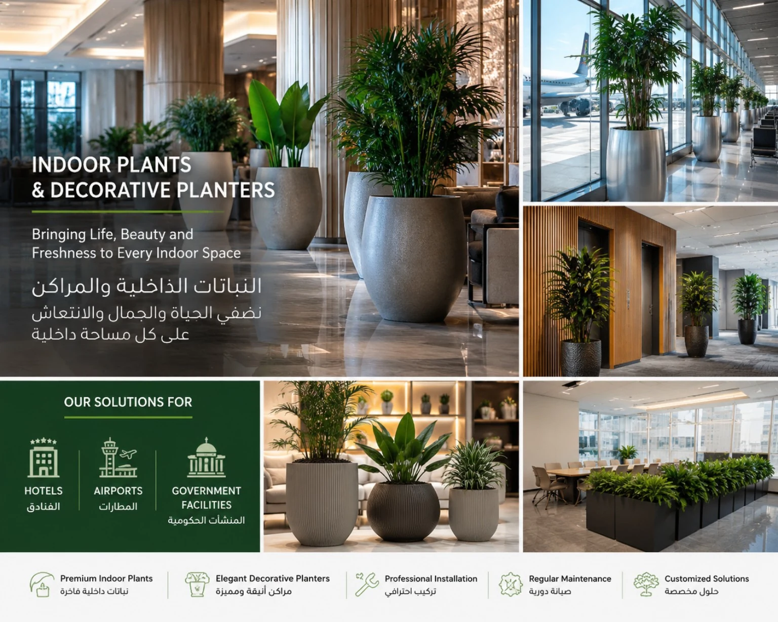 Indoor plants and decorative planters service overview